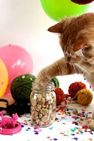 She loves these homemade cat treats that i make her, but to add some variety, i created a different cat treat recipe that contains catnip. Tuna Catnip Kitty Treats