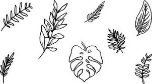 Download Palm And Bay Leaf Clip Art Png Svg By The Art Teacher Life Tpt