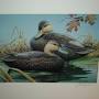 Profile Picture of ROB LESLIE 1996 Signed & Numbered Duck Print # 382 ... - eBayon Google