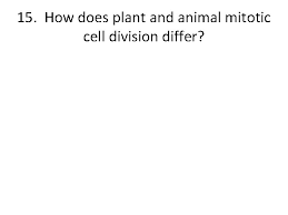 How does plant cell division differ from animal. Mitotic Cell Cycle Review Take Out A Sheet