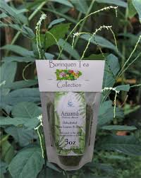 Image result for Petiveria alliacea