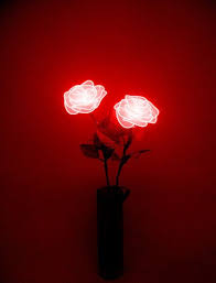 Wallpaper Tumblr Bunga Mawar Neon Mawar Rosemarker Foto 39078004 Fanpop Pinterest Anahi Alam Mawar Kertas Dinding Dan Estetika Merah Wallpaper Merah Mawar Lihat ide lainnya tentang bunga, latar belakang, fotografi. wallpaper tumblr bunga mawar neon