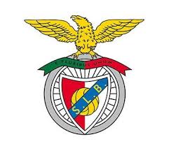 The best place to find a live stream to watch the match between benfica and sporting cp. Guide For A Benfica Sporting Cp Football Soccer Match In Lisbon