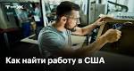 Как бы Я Стал Web Разработчиком За 6 Месяцев в 2025