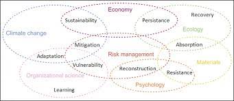 Capacité de retrouver la forme après un traumatisme physique ou psychologique. What Resilience Is Not Uses And Abuses