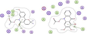 Image result for Vepris bremekampii