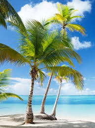 Masérský kurz Havajská masáž Lomi lomi - Masérské kurzy | EduSpa College