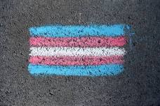 Trans Day of Vibing: Queer and Trans Health Bazaar