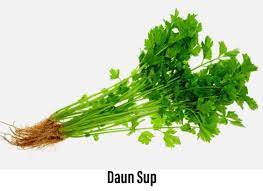 You are on page 1of 3. Cyberjaya Info On Twitter Daun Sup Daun Ketumbar Daun Parsley