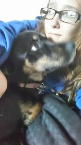 lost and found puppy in groveport ohio