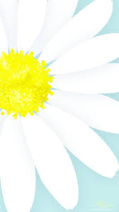 This pin was discovered by neliya. Spring Wallpapers For Iphone Best Spring Backgrounds Free Download Daisy Wallpaper Spring Wallpaper Spring Background