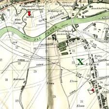 Image result for Tragia grandistipularis