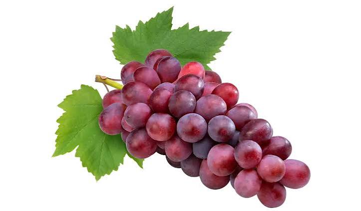 نهال انگور صاحبی