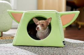 Chewy Launches New Disney Pet Collection Daily Paws