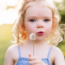 I've been photographing sweet Willow since she was born, and last week—on  one of the hottest days of the year—we met at the wildflower patch to  celebrate her third birthday with updated