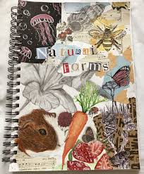Natural Forms Title Page Natural Form Art Art Diary Art