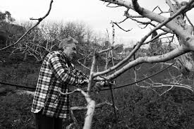 There are currently no product reviews. Mourtzis Aegina Pistachio Shop Aegina Weloveaegina