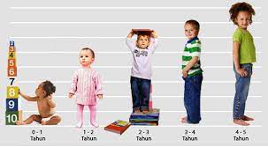 Periode sensorimotor yang terjadi pada 0 hingga 2 tahun. Orang Tua Harus Tau Tahapan Tumbuh Kembang Anak Usia Batita