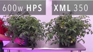 Check spelling or type a new query. Xml 350 Led Grow Light Vs 600w Hps Grow Light Youtube