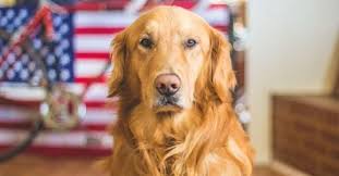 Every State License Plate Design, Ranked By How Much You Wish It Was On  Your Ride