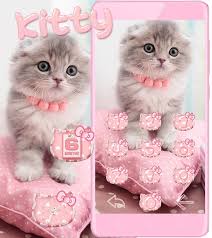 Sure, they spend plenty of time snoozing and lounging around, but you. Pink Cute Kitty Cat Theme For Android Apk Download