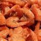 Shrimp Blast 2026