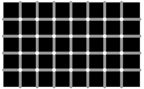 Image result for illusion pictures