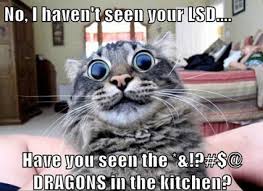 For more stuff i do online since since retiring from engineering at the age of 33. The 60 All Time Best Funny Animal Pictures With Captions
