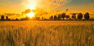 Kali ini, pihak admin akan membawa kamu semua ke satu tempat yang memukau iaitu salah satu pemandangan … Christa Houbung La Le Lathah Bu Firebase Latest Version For Android Download Apk