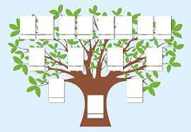Gerade für kleine kinder ist ein familienstammbaum eine gute hilfe um familienbeziehungen zu verstehen. Stammbaum Vorlage Vorlagen Gratis