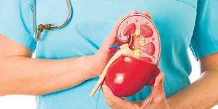 This is little more than the number of men dying of kidney failure. World Kidney Day Ima Says Kidney Related Diseases Almost Doubled In Past Decade The New Indian Express