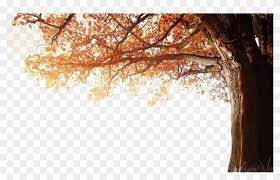 Download, share or upload your own one! Winter Resolution Wallpaper Tree Autumn 4k Fall Clipart 1080p Png Sky Hd Transparent Png 7609 Pikpng