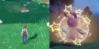 Pokémon Sword And Shield' Shiny Rates, Brilliant Pokémon And Chain Fishing  Officially Revealed - Newsweek