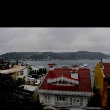 Living my best life (18 | any pronouns). Luna Roza Lunaroza Profile Pinterest