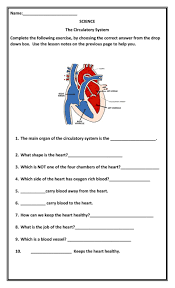 Image result for Cardiovascular Worksheets