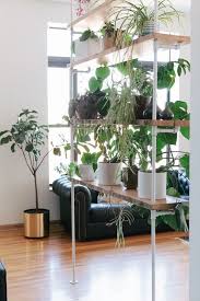 Maybe you would like to learn more about one of these? Sam Linsey S Thoughtful Chicago Home Room With Plants Diy Room Divider Plant Stand Decor