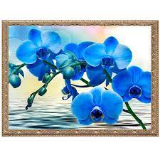 Maybe you would like to learn more about one of these? Buy 5d Diy Diamond Painting Colorful Blue Orchids Full Diamond Flowers Picture Mosaic Embroidery Scenery At Affordable Prices Free Shipping Real Reviews With Photos Joom