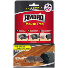 The best no kill compassionate mouse trap!!! Amdro Mouse Trap Easy To Use Product Kills Rodents Fast