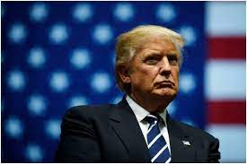 The list includes people like dua lipa, demi lovato, david bowie, dolly parton, doja cat and many more. 20 Celebrities Whose Name Starts With D Famous People Today