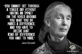 jane goodall quote | Tumblr via Relatably.com
