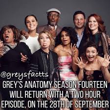 Omg Soo Excited My Countdown Beginssssss Hoping For Some Of My Fav Characters To Come Back What If D Anatomia De Grey Grey S Anatomy Wallpaper Anatomia