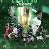 Somou dez vitórias, dois empates o palmeiras iniciou a libertadores de 2018 sob o comando do treinador roger machado. Https Encrypted Tbn0 Gstatic Com Images Q Tbn And9gcqiv 7sw472fnssjwczfcarvw4bg3f9smiwezzs1eq Usqp Cau