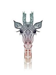 5 out of 5 stars. Http 24 Media Tumblr Com 87b40c3281756d9c1d5876d6b90f87ad Tumblr Ms3jhdhmp91qb8ib5o1 500 Jpg Giraffe Art Hipster Animals Drawings Art