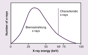 The X Ray Beam Radiology Key