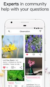 All content on this website, including dictionary, thesaurus, literature, geography, and other reference data is for informational purposes only. 7 Best Plant Identification Apps For Android Android Apps For Me Download Best Android Apps And More