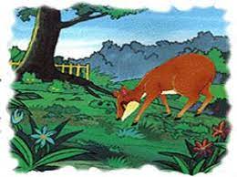 Bunga lawang menghasilkan bunga yang berwarna putih hingga kuning. 20 Cerita Dongeng Kancil Singkat Terbaik Sepanjang Masa Pesan Moral Insight Dan Artikel Terbaru Untuk Kalian Yang Ingin Membaca Dan Menulis Banyak Tau Banyak Akal Dan Akal Akan Memperbanyak Peluang