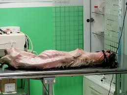 Potrivit fostului senator, în orice moment se poate produce un cutremur puternic în românia. Senatorul Marius Marinescu A Explodat Ce A Cerut PoliÈ›iei Nimeni Nu