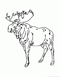 Moose3 animals coloring pages printable coloring page image for kids of all ages. Moose Coloring Pages