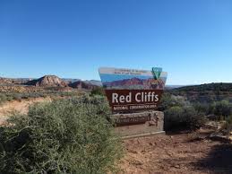 We did not find results for: Blm Sign Picture Of Red Cliffs National Conservation Area St George Tripadvisor