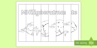 Record yourself saying 'hibernate' in full sentences, then watch yourself and listen. Animals That Hibernate Word Mat Teacher Made